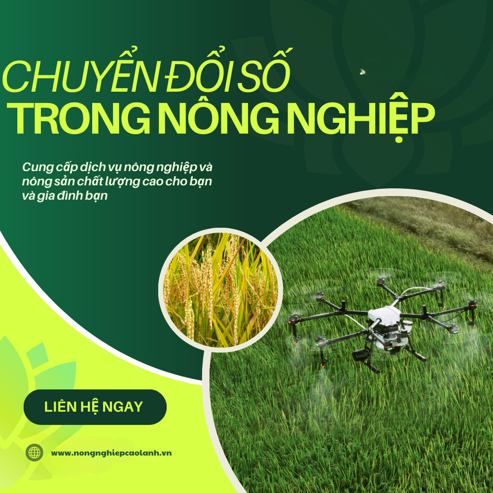 Chuyển Đổi Số Trong Nông Nghiệp – Bước Tiến Giúp Nâng Cao Hiệu Quả Sản Xuất