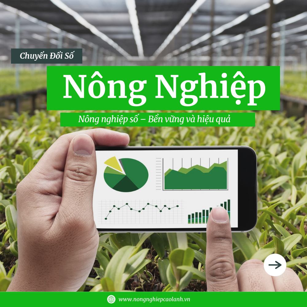 Nông Nghiệp Số: Ứng Dụng Công Nghệ Để Canh Tác Dễ Dàng, Thu Nhập Cao Hơn