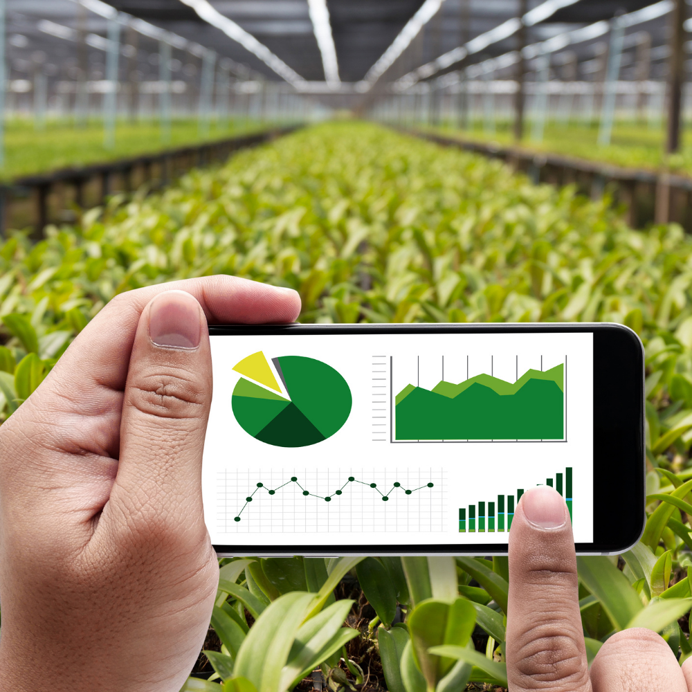 Đổi Mới Nông Nghiệp: Từ Truyền Thống Đến Công Nghệ Cao