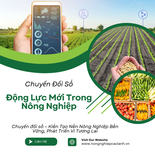 Chuyển Đổi Số – Động Lực Mới Cho Nền Nông Nghiệp Hiện Đại