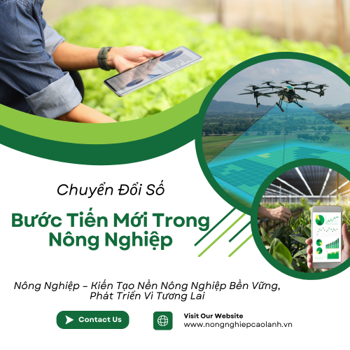 Công Nghệ Trong Khởi Nghiệp Nông Sản Sạch: Chìa Khóa Thành Công?