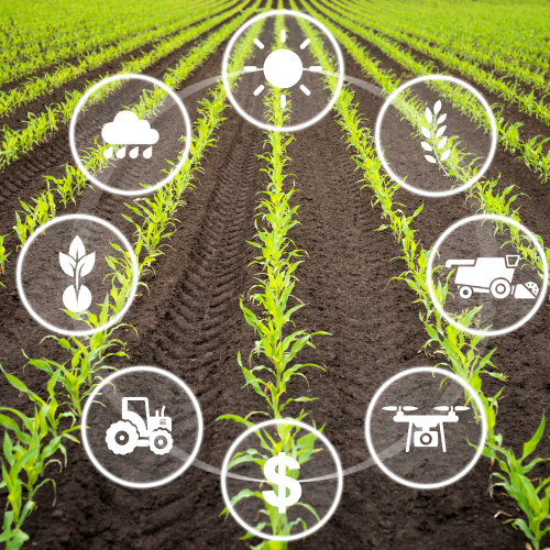 Công Nghệ Số Giúp Nông Dân Trồng Trọt Hiệu Quả Hơn Như Thế Nào?