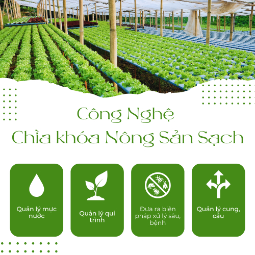 Phát Triển Nông Nghiệp Hiện Đại và Bền Vững