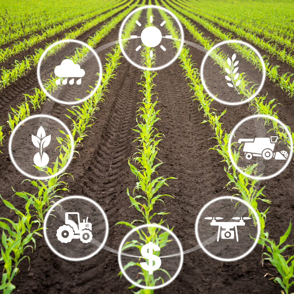 Cuộc Cách Mạng Nông Nghiệp 4.0: Công Nghệ Đổi Mới Ngành Nông Sản