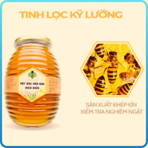 Mật Ong Hoa Ban Điện Biên (350ml)