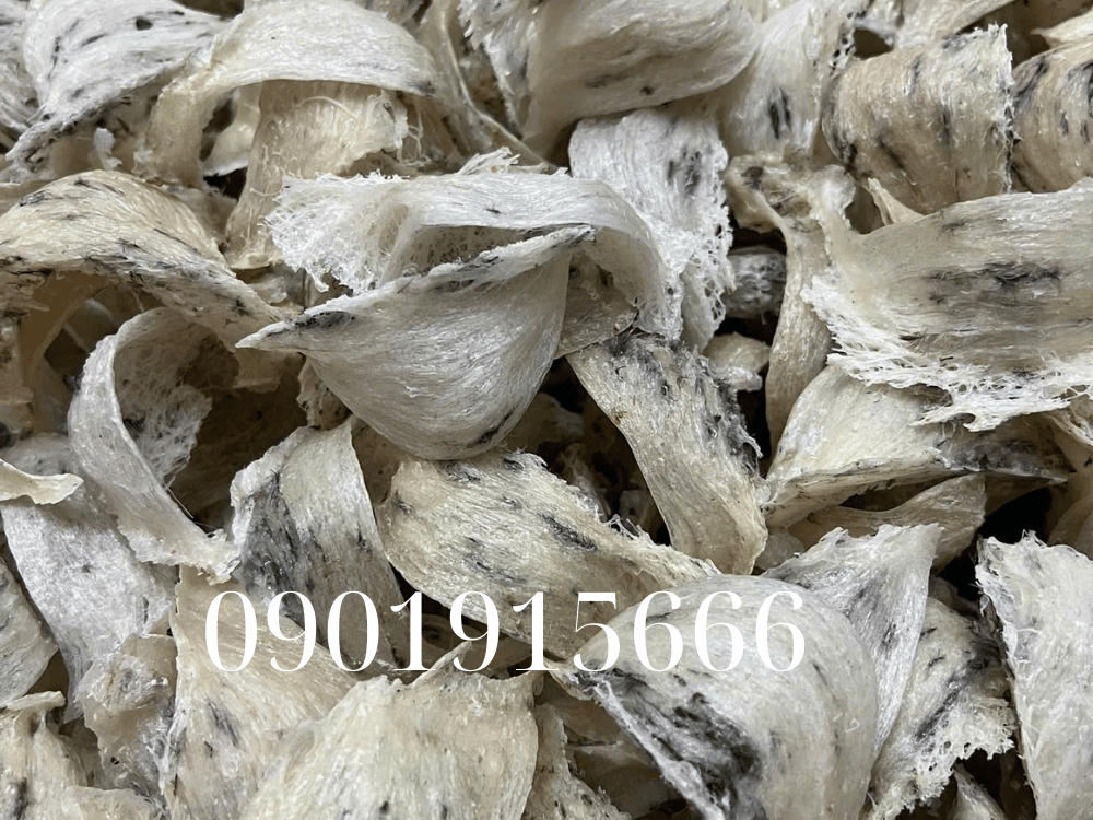 Lợi ích khi sử dụng