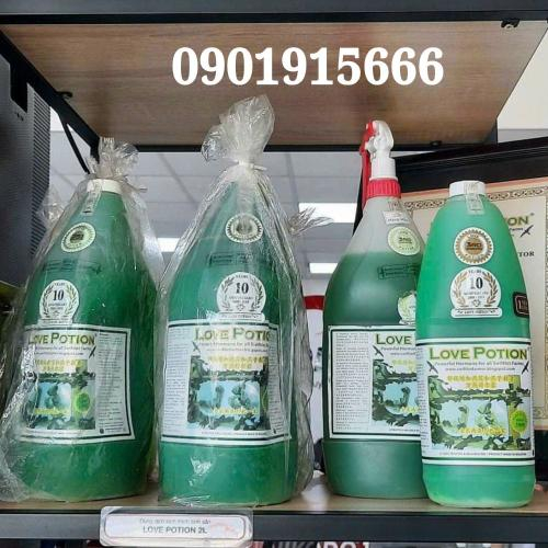 Love Potion 1L Có Phải Là Bí Quyết Giúp Tăng Năng Suất Nhà Yến Bền Vững Không?