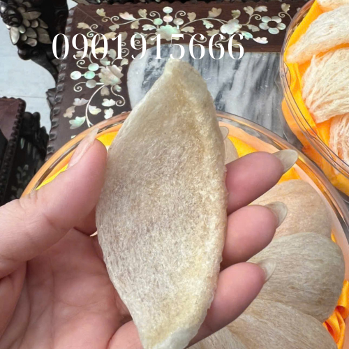 Tổ Yến Định Hình A5 - Hộp 100gr