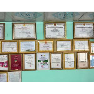 Xoài Sấy Dẻo - SUNHI