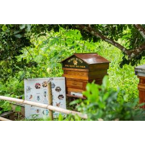 (TOUR RIÊNG) Chèo Thuyền Thúng Sông Cửa Cạn + Tham Quan Trang Trại Mật Ong