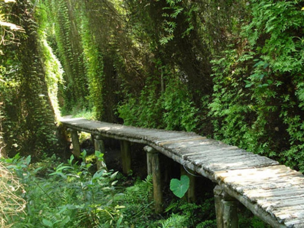 Giá trị văn hóa – lịch sử của Xẻo Quít