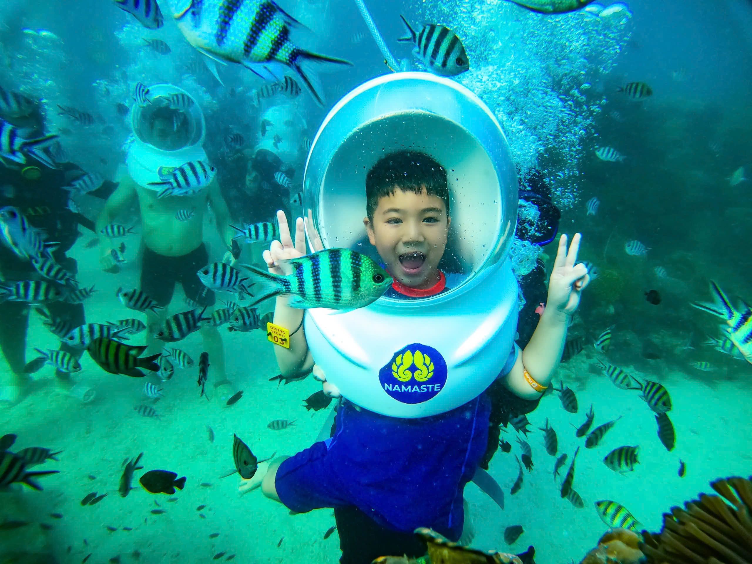 Đi bộ dưới biển có gì đặc biệt?