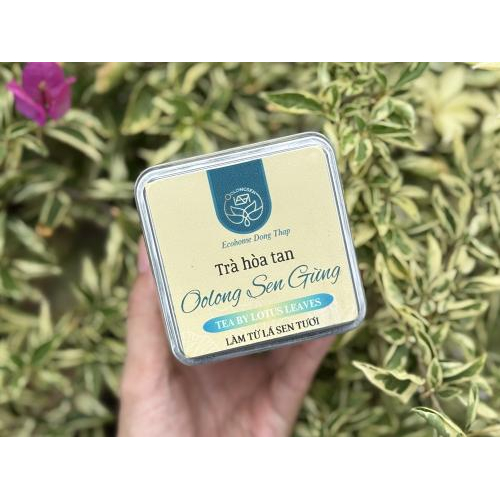 Trà Oolongsen Gừng Hộp 100gr