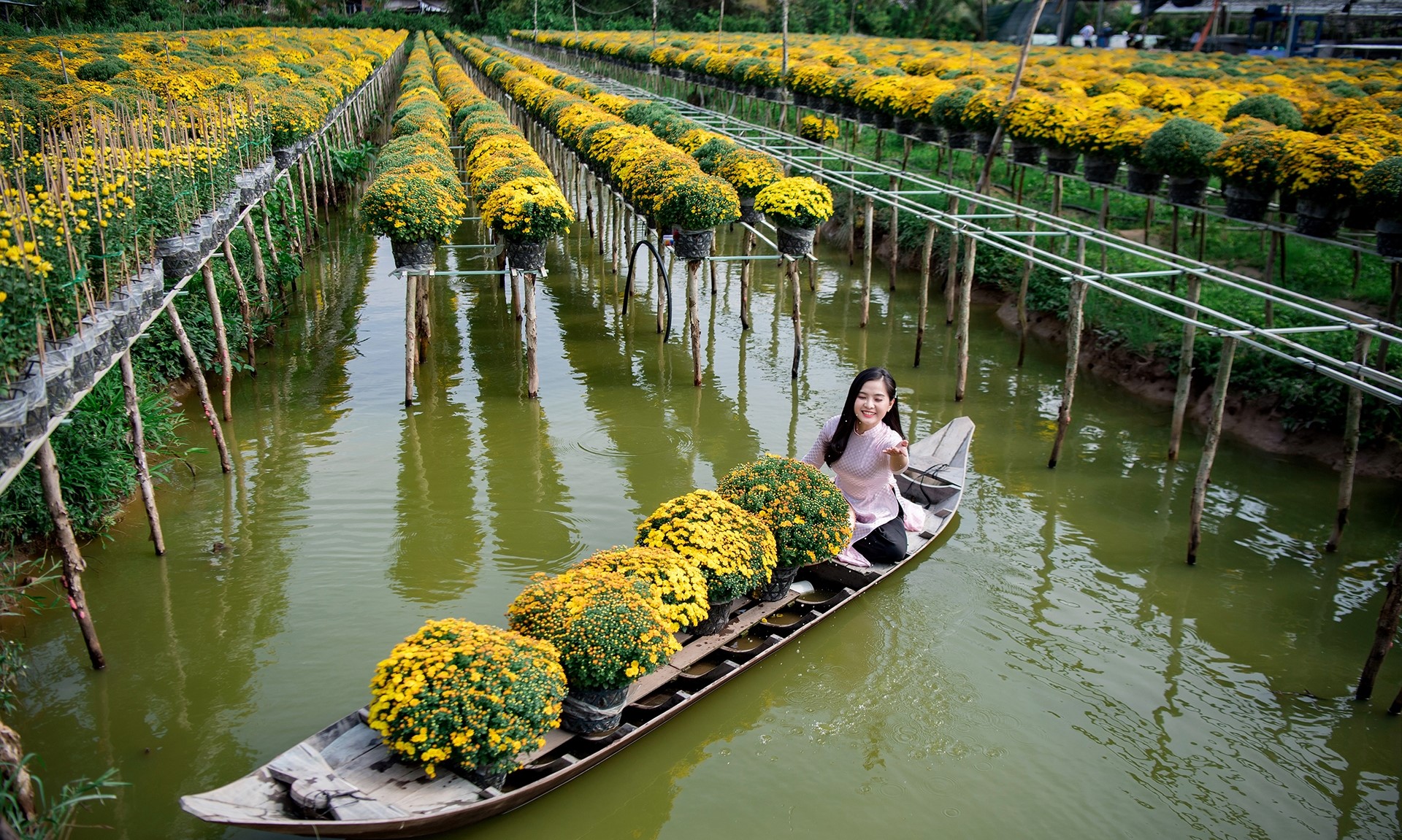 Thời Điểm Vàng và Tọa Độ Vàng