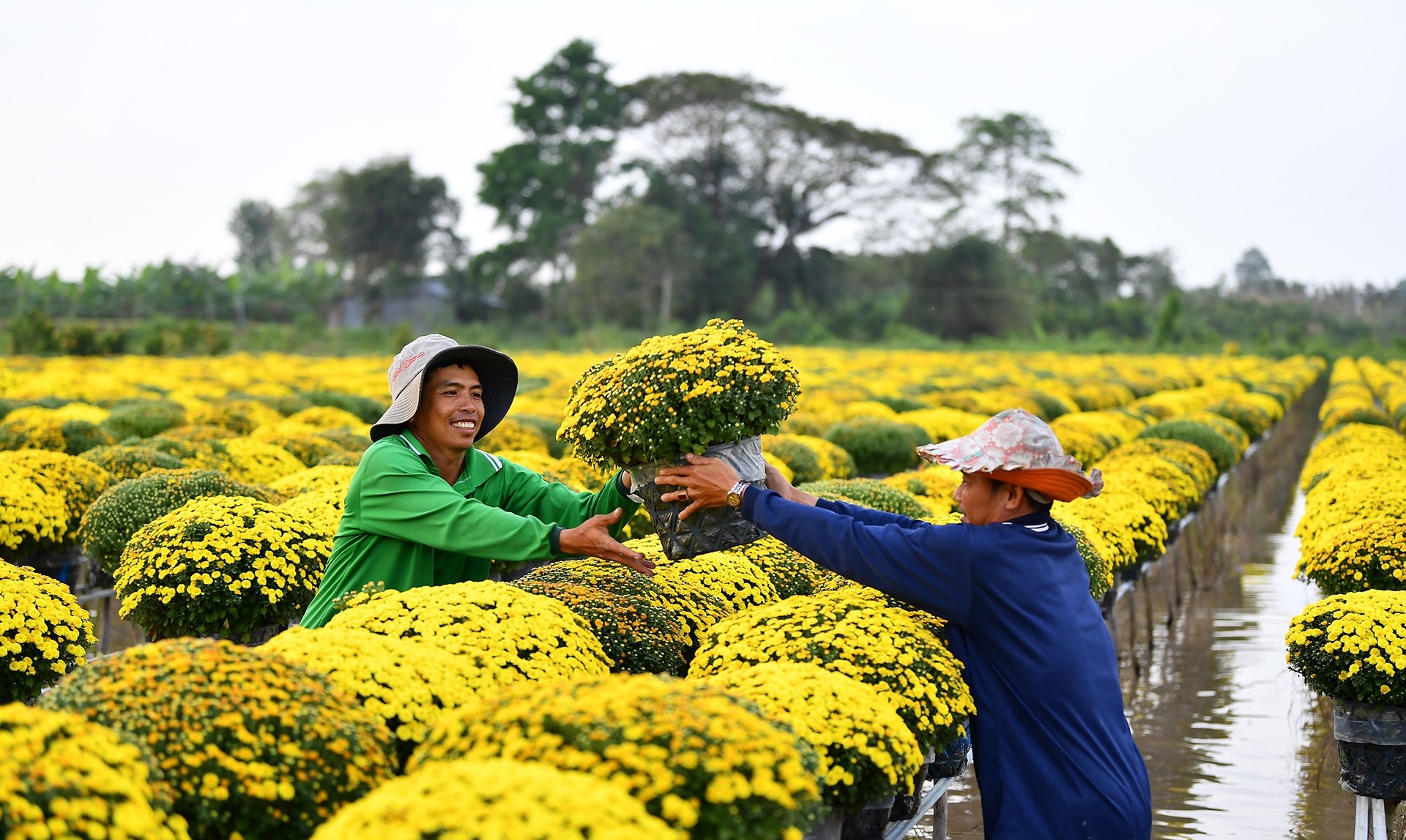 "Tất Bật Xuống Ghe" - Khung cảnh đặc sắc chỉ có ở Sa Đéc