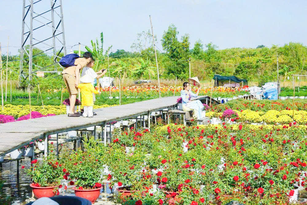 Nhà vườn, doanh nghiệp dốc toàn lực đầu tư