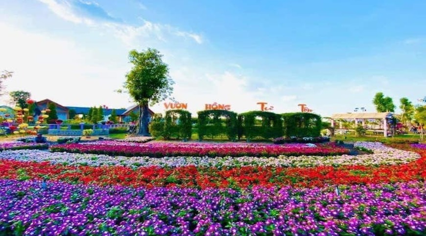 Dấu Ấn Tiền Nhân: Từ Thú Vui Điền Viên Đến Vườn Hồng Huyền Thoại