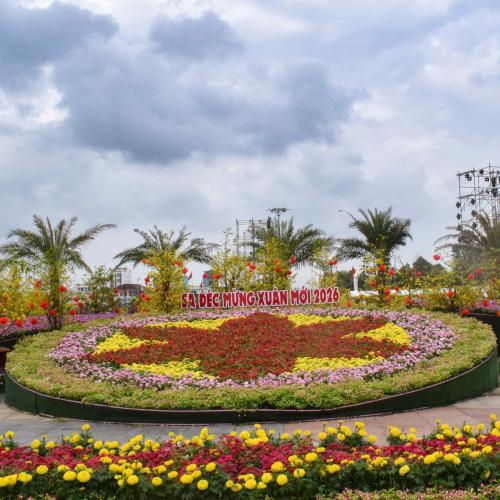 Không Khí Rộn Ràng Trước Thềm Festival Hoa – Kiểng Sa Đéc 2025
