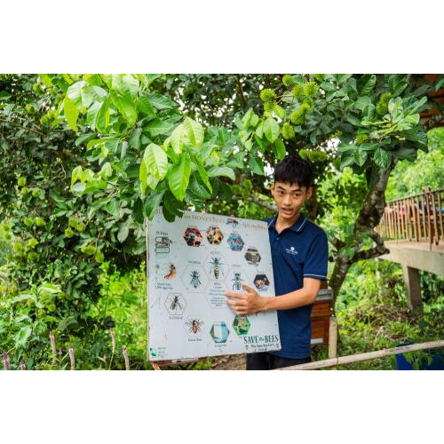 (TOUR RIÊNG) Chèo Thuyền Thúng Sông Cửa Cạn + Tham Quan Trang Trại Mật Ong