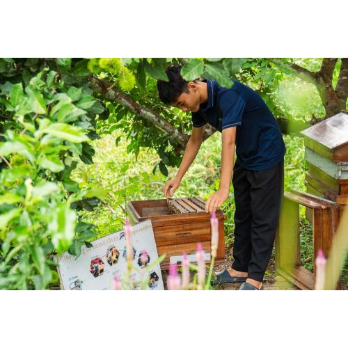 (TOUR RIÊNG) Chèo Thuyền Thúng Sông Cửa Cạn + Tham Quan Trang Trại Mật Ong