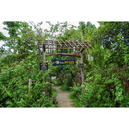 (TOUR RIÊNG) Chèo Thuyền Thúng Sông Cửa Cạn + Tham Quan Trang Trại Mật Ong