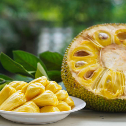 Khám Phá Lợi Ích Bất Ngờ Từ Mít Tố Nữ Mang Lại