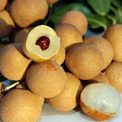 Ăn Nhãn Lồng Có Tốt Cho Sức Khỏe Không?