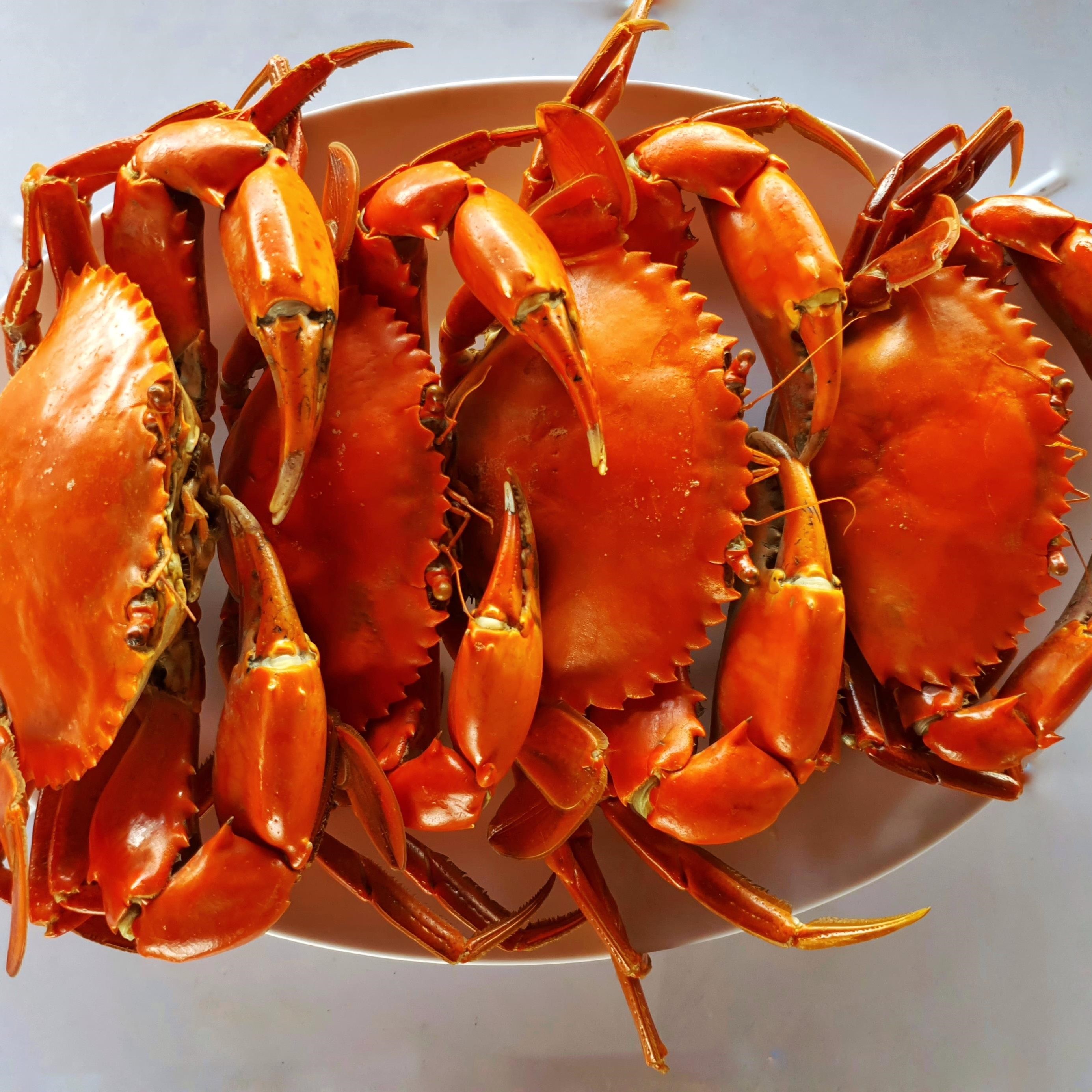 Cua Cà Mau – “vàng đỏ” của vùng cực Nam