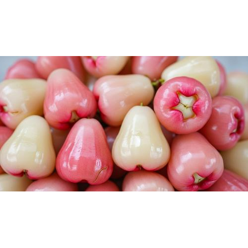 Mận Hòa An - nguyên liệu “vàng” cho thức uống tự nhiên