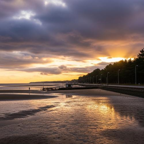 Bản tình ca không bao giờ tắt giữa đất trời phương Nam