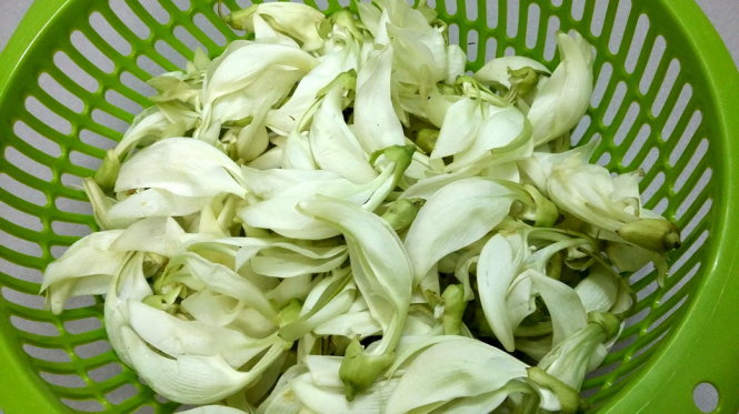 Bông So Đũa: Từ Vườn Nhà Đến Mâm Cơm Ấm Tình Thân