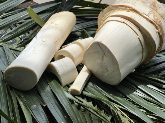 "San Hô" Của Miệt Vườn: Sự Hy Sinh Thầm Lặng