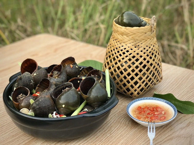 Ký ức không thể phai mờ