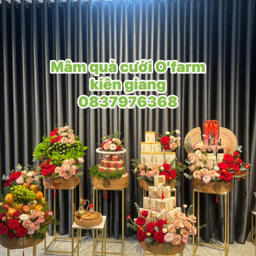 Mâm Quả Cưới Hỏi O’farm Kiên Giang
