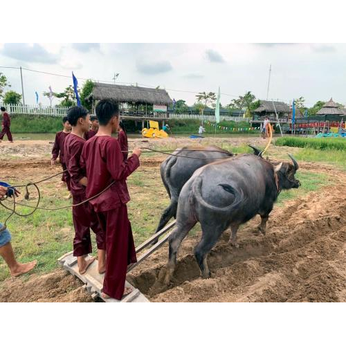 Công Ty TNHH MTV Khu Du Lịch Văn Hoá Phương Nam