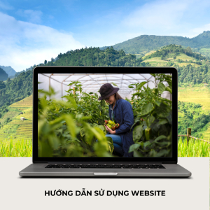 Khóa Hướng Dẫn Sử Dụng Website Nông Nghiệp Cao Lãnh