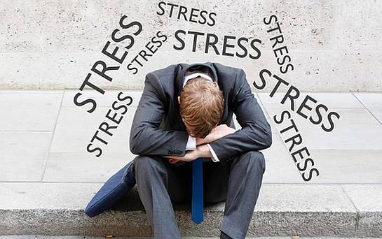 Giúp tinh thần sảng khoái, giảm stress khi ăn kiêng