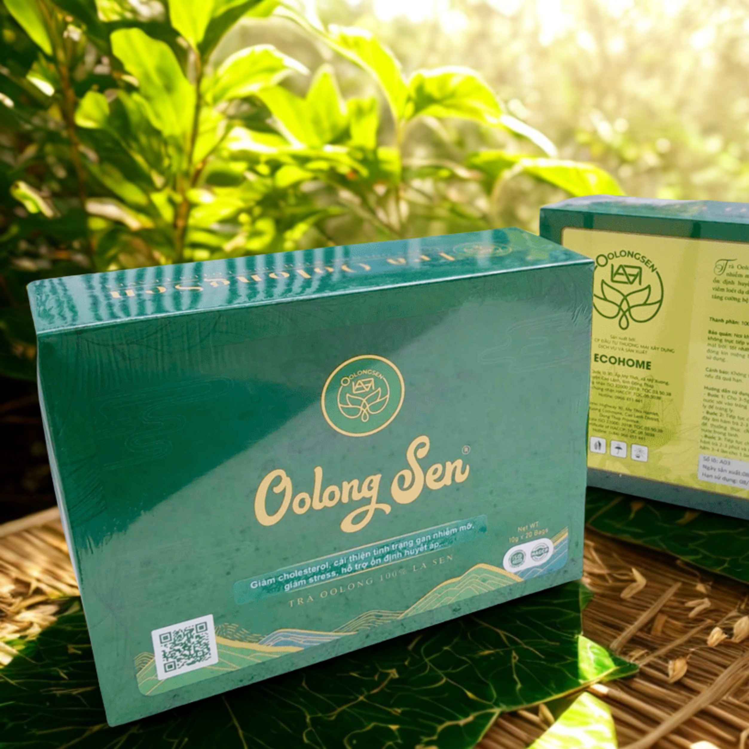 Trà Oolong Sen Giúp Thanh Lọc Cơ Thể Và Làm Đẹp Da Như Thế Nào ?