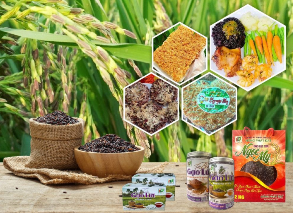 Về chúng tôi