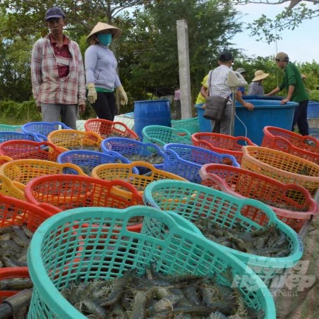 Kiên Giang Kết Nối Tiêu Thụ Khoảng 1,54 Triệu Tấn Nông, Thủy Sản