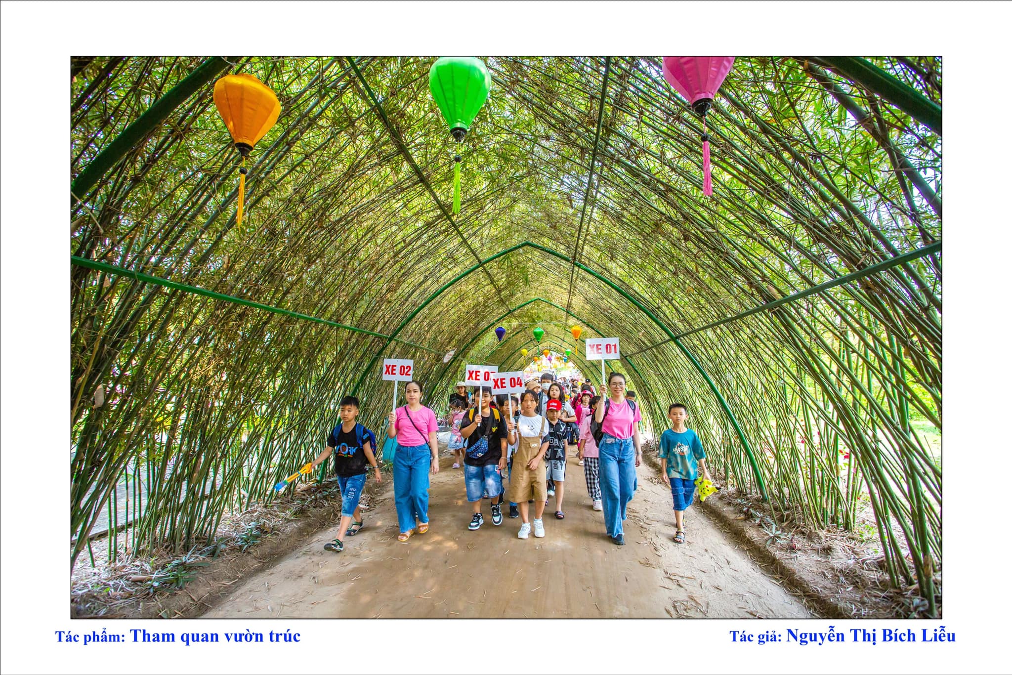 2. Con Đường Trúc Xanh Phương Nam – Biểu Tượng Của Sự Trường Tồn