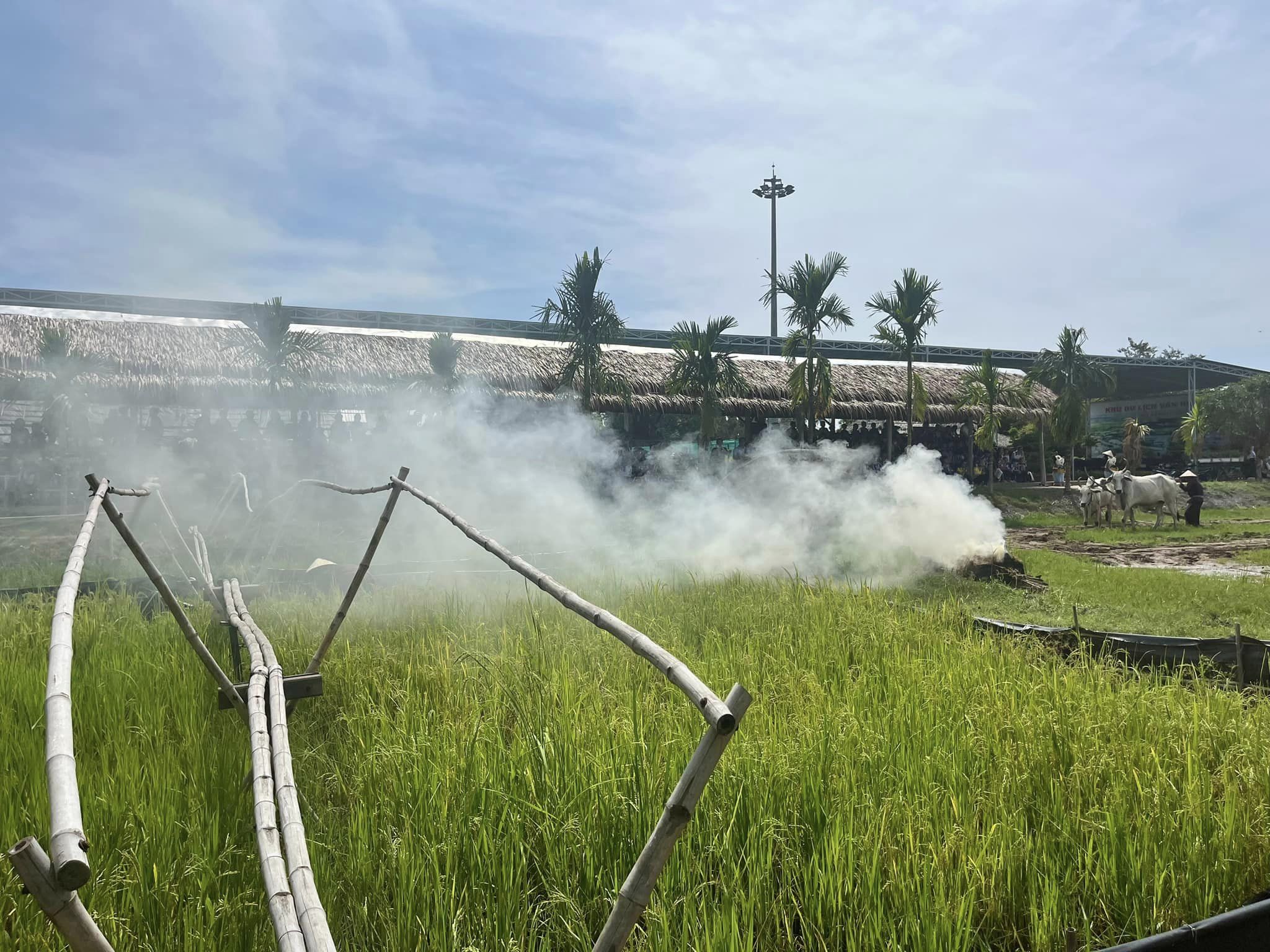 5. Show Diễn Lúa Nước – Tái Hiện Văn Hóa Nông Nghiệp