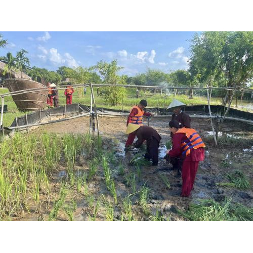 Trải Nghiệm Làm Nông Dân - Du Lịch Xanh Cùng Thiên Nhiên Tại Khu Du Lịch Văn Hoá Phương Nam