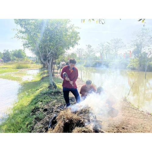 Trải Nghiệm Làm Nông Dân - Du Lịch Xanh Cùng Thiên Nhiên Tại Khu Du Lịch Văn Hoá Phương Nam